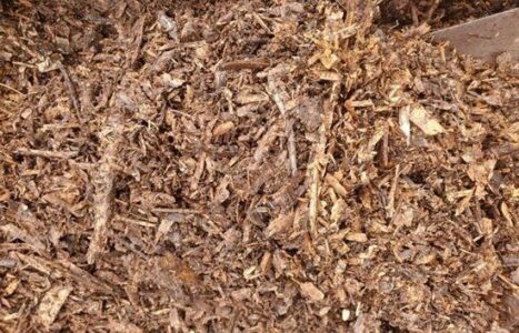 Using Wood Chips in the Garden Image